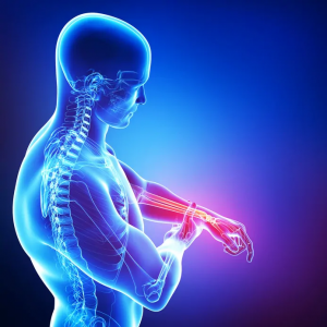 Braccio, Polso, Mano